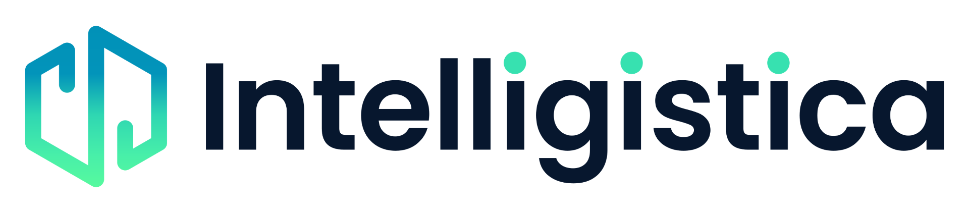 Intelligistica, Fractional Technology Leadership